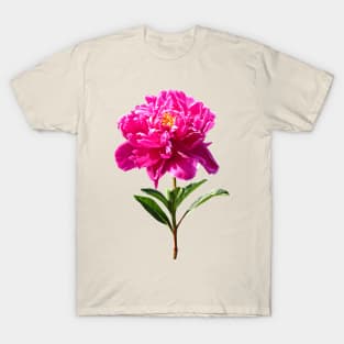 Vivid Pink Peony T-Shirt